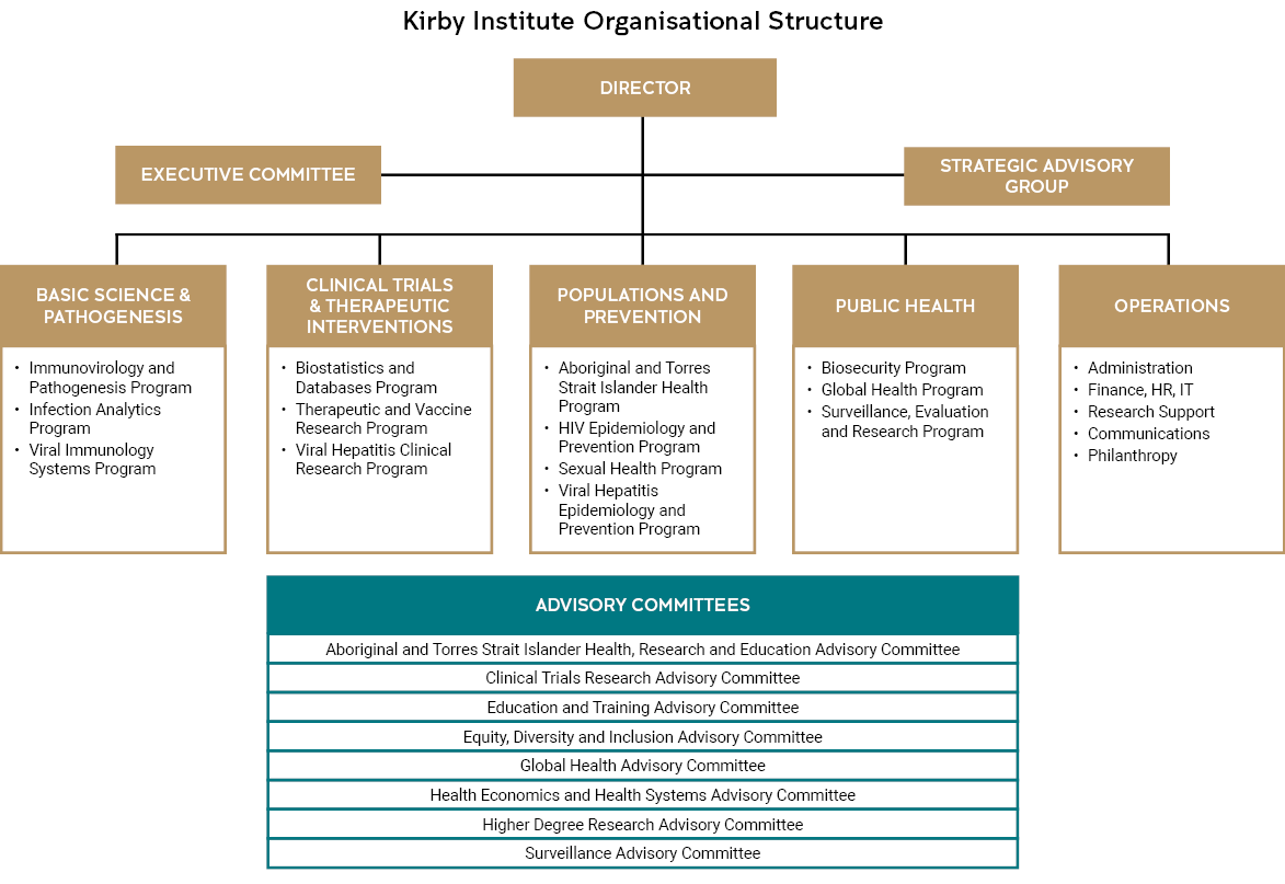 A chart detailing the organisational structure of the Kirby Institute